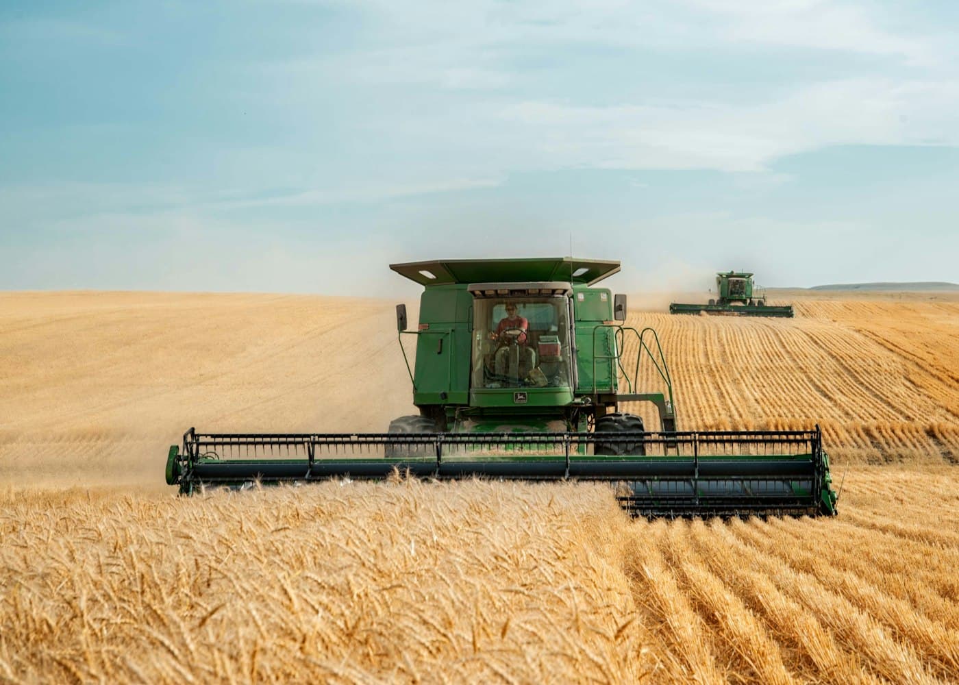 A combine harvester in a wheat field